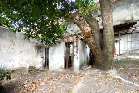 Casa à venda com 520m², 5 quartos e 3 vagasCanil