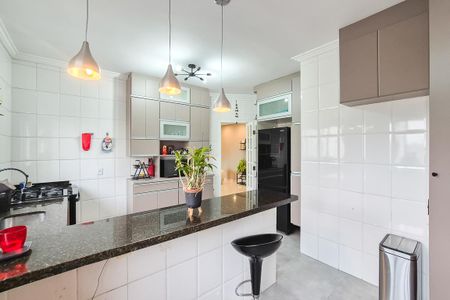 Cozinha de apartamento para alugar com 3 quartos, 303m² em Vila Quirino de Lima, São Bernardo do Campo