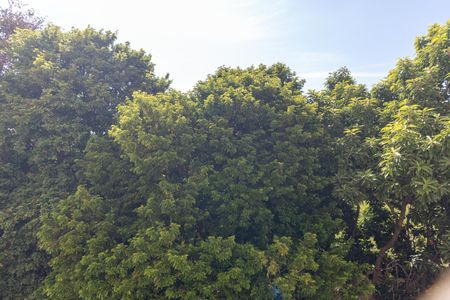 Apartamento para alugar com 60m², 2 quartos e 1 vaga Apartamento para alugar com 60m², 2 quartos e 1 vagaVista do Quarto 02