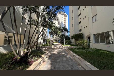 Apartamento à venda com 3 quartos, 70m² em Jardim Aeroporto, São Paulo