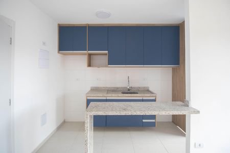 Apartamento para alugar com 45m², 2 quartos e 1 vagaCozinha - Armários