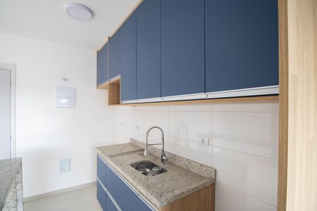 Apartamento para alugar com 45m², 2 quartos e 1 vagaCozinha - Armários