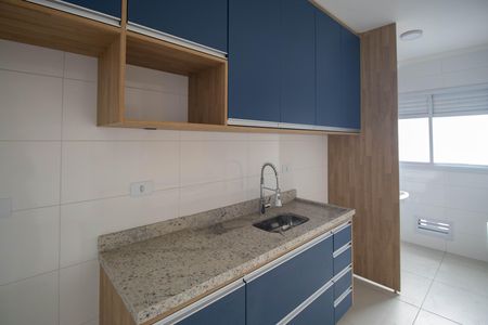 Apartamento para alugar com 45m², 2 quartos e 1 vagaCozinha - Armários