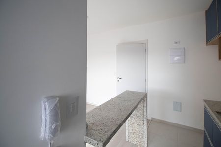 Apartamento para alugar com 45m², 2 quartos e 1 vagaCozinha - Armários