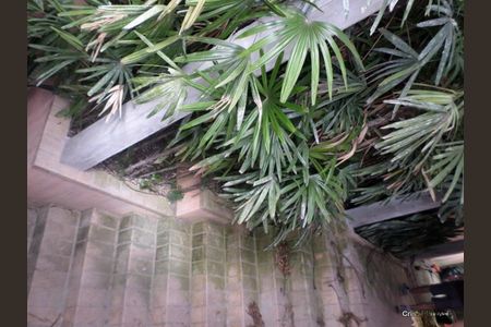 Casa à venda com 300m², 3 quartos e 5 vagas