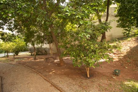 Apartamento à venda com 78m², 2 quartos e 2 vagasBosque