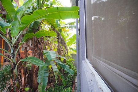 Vista da Suíte de apartamento para alugar com 1 quarto, 44m² em Armação, Florianópolis