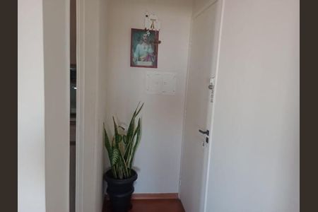 Apartamento à venda com 2 quartos, 57m² em Vila Mazzei, São Paulo