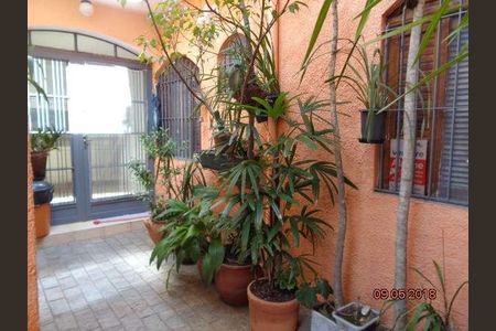 Casa à venda com 3 quartos, 240m² em Vila Sonia, São Paulo