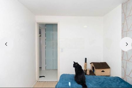 Apartamento à venda com 2 quartos, 58m² em Vila Sabrina, São Paulo