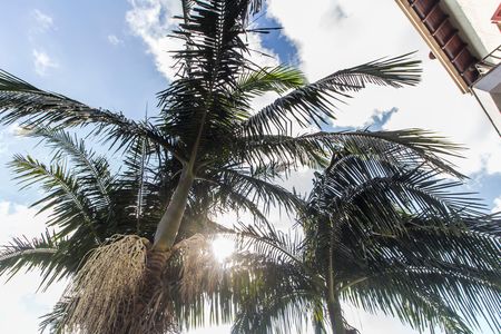 Casa de condomínio à venda com 480m², 2 quartos e 4 vagas Casa de condomínio à venda com 480m², 2 quartos e 4 vagasVista
