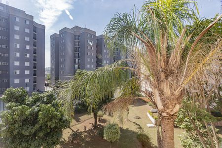 Vista de apartamento para alugar com 3 quartos, 90m² em Jardim Patente, São Paulo