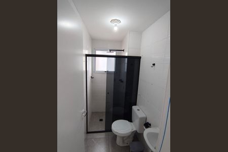 Banheiro de apartamento para alugar com 2 quartos, 48m² em Cidade Ocian, Praia Grande