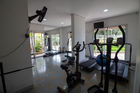 Apartamento para alugar com 65m², 1 quarto e 2 vagas Apartamento para alugar com 65m², 1 quarto e 2 vagasÁrea comum - Academia