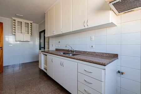 Apartamento para alugar com 168m², 4 quartos e 3 vagas Apartamento para alugar com 168m², 4 quartos e 3 vagasCozinha