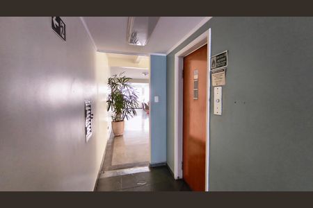 Apartamento para alugar com 110m², 3 quartos e 1 vaga Apartamento para alugar com 110m², 3 quartos e 1 vagaElevadores