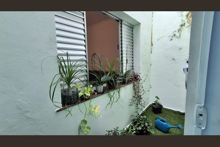 Casa à venda com 280m², 3 quartos e 2 vagas Casa à venda com 280m², 3 quartos e 2 vagasJardim de inverno