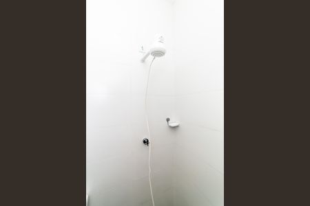 Banheiro da Suíte de kitnet/studio para alugar com 1 quarto, 30m² em Santa Cruz, Belo Horizonte