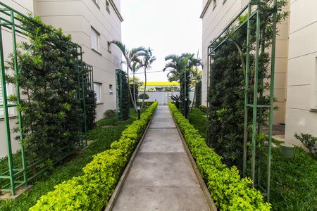 Apartamento para alugar com 56m², 2 quartos e 1 vaga Apartamento para alugar com 56m², 2 quartos e 1 vagaÁrea comum