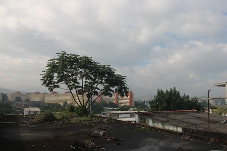 Casa de condomínio para alugar com 243m², 2 quartos e 1 vagaCozinha - Copa/vista