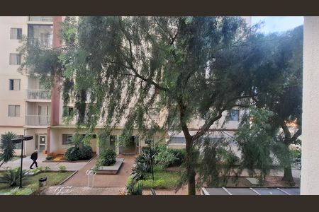 Apartamento para alugar com 61m², 3 quartos e 1 vaga Apartamento para alugar com 61m², 3 quartos e 1 vagaVista Quarto 1