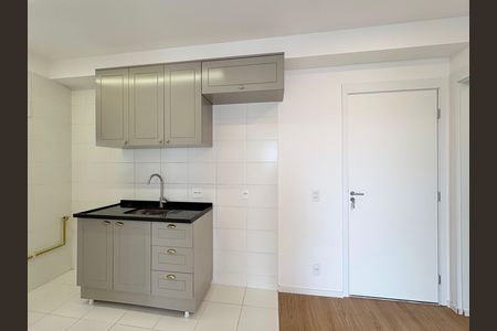 Cozinha e Área de Serviço de apartamento para alugar com 2 quartos, 41m² em Vila Albertina, São Paulo