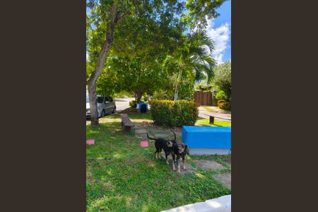 Casa para alugar com 21m², 1 quarto e 2 vagasÁrea externa