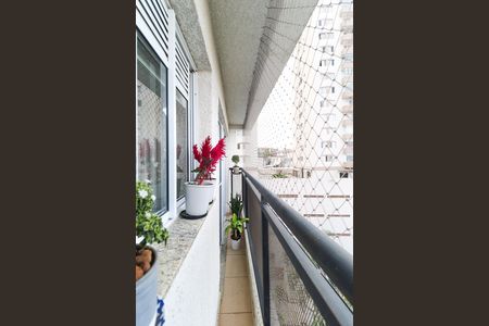 Apartamento para alugar com 1 quarto, 34m² em Tucuruvi, São Paulo