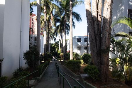 Apartamento para alugar com 48m², 2 quartos e 1 vaga Apartamento para alugar com 48m², 2 quartos e 1 vagaÁrea comum - Área Verde