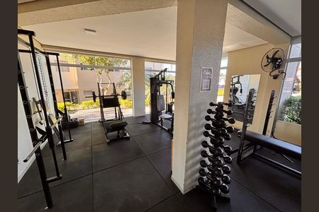 Apartamento para alugar com 54m², 2 quartos e 1 vaga Apartamento para alugar com 54m², 2 quartos e 1 vagaÁrea comum - Academia