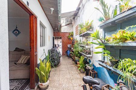 Casa à venda com 65m², 2 quartos e 1 vaga Casa à venda com 65m², 2 quartos e 1 vagaQuintal