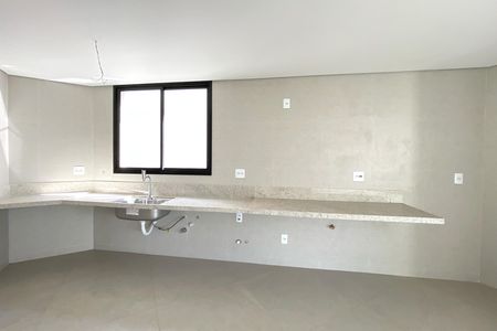 Apartamento à venda com 227m², 3 quartos e 2 vagasCozinha