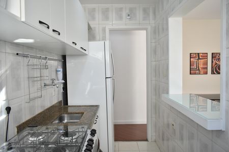 Apartamento para alugar com 50m², 1 quarto e 1 vagaCozinha