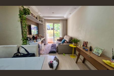 Apartamento para alugar com 2 quartos, 65m² em Vila Sofia, São Paulo