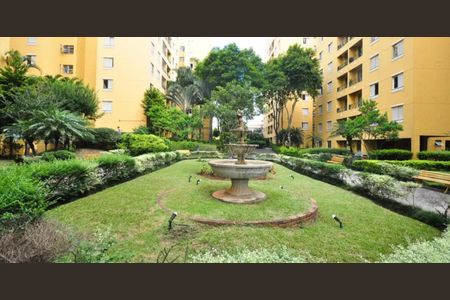 Foto 07 de apartamento à venda com 3 quartos, 64m² em Vila Morse, São Paulo