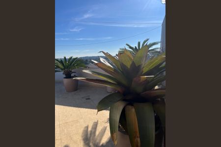Apartamento à venda com 311m², 3 quartos e 2 vagas Apartamento à venda com 311m², 3 quartos e 2 vagasVista