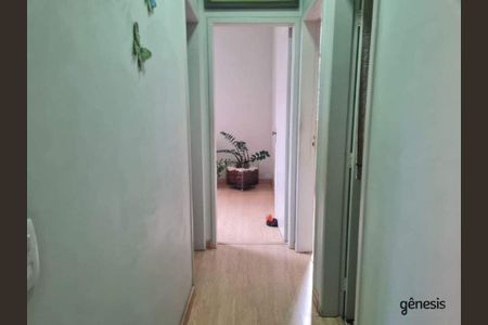 Apartamento à venda com 3 quartos, 61m² em Cinquentenario, Belo Horizonte