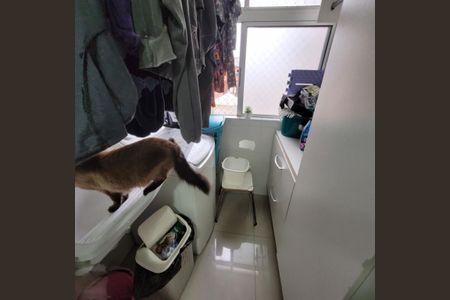 Apartamento à venda com 60m², 3 quartos e 1 vaga