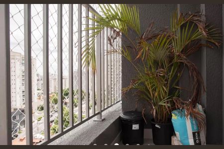 Apartamento à venda com 68m², 2 quartos e 1 vagaFoto 20