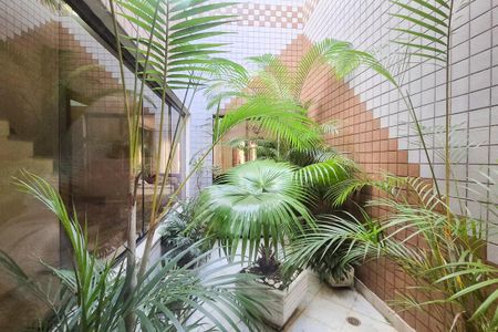Sala - jardim de inverno de casa à venda com 3 quartos, 250m² em Jardim Palermo, São Bernardo do Campo