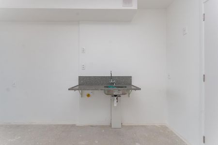 Cozinha Americana de apartamento para alugar com 2 quartos, 41m² em Lapa de Baixo, São Paulo