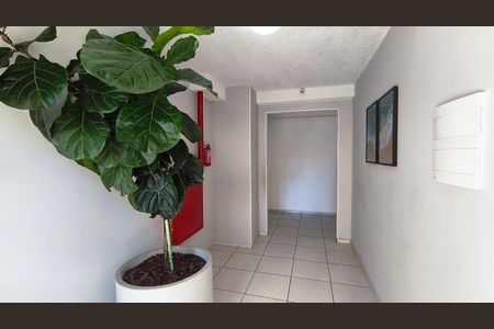 Apartamento para alugar com 35m², 2 quartos e sem vaga Apartamento para alugar com 35m², 2 quartos e sem vagaHall