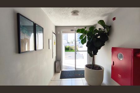 Apartamento para alugar com 35m², 2 quartos e sem vaga Apartamento para alugar com 35m², 2 quartos e sem vagaHall
