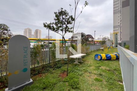 Apartamento para alugar com 35m², 2 quartos e sem vaga Apartamento para alugar com 35m², 2 quartos e sem vagaÁrea Pet