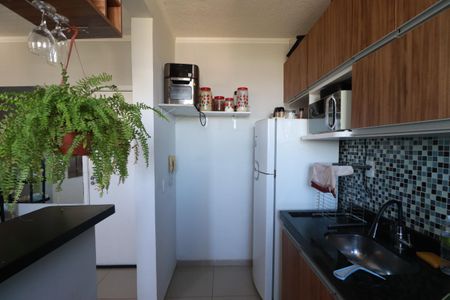 Cozinha  de apartamento para alugar com 2 quartos, 49m² em Parque Sao Sebastiao, Ribeirão Preto