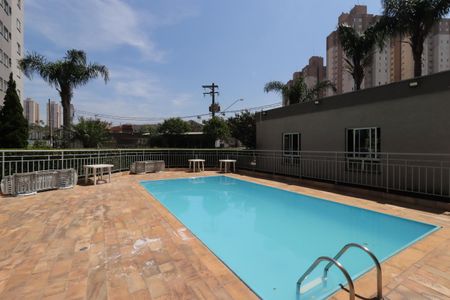 Apartamento à venda com 50m², 2 quartos e 1 vagaÁrea Comum - Piscina