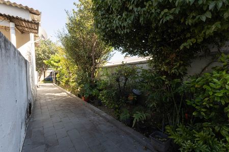 Casa à venda com 300m², 8 quartos e 2 vagas Casa à venda com 300m², 8 quartos e 2 vagasQuintal