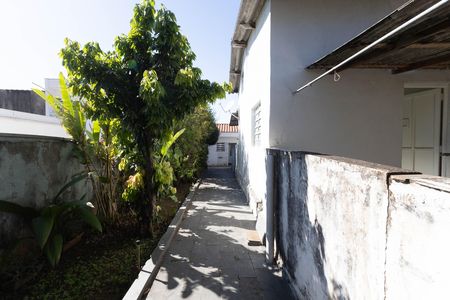 Casa à venda com 300m², 8 quartos e 2 vagas Casa à venda com 300m², 8 quartos e 2 vagasQuintal