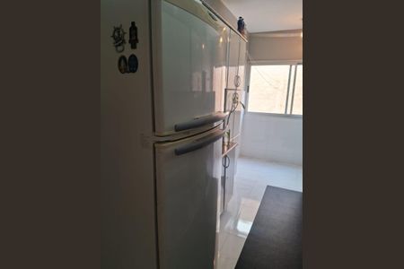 Cozinha de apartamento para alugar com 3 quartos, 80m² em Jardim Campos Eliseos, Campinas