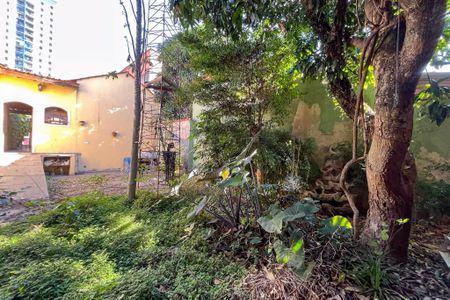 Casa para alugar com 260m², 3 quartos e 2 vagas Casa para alugar com 260m², 3 quartos e 2 vagasÁrea externa